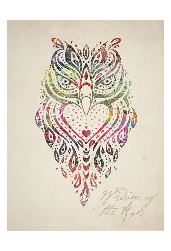 Melody Hogan, COLORFUL OWL II (TIERE)