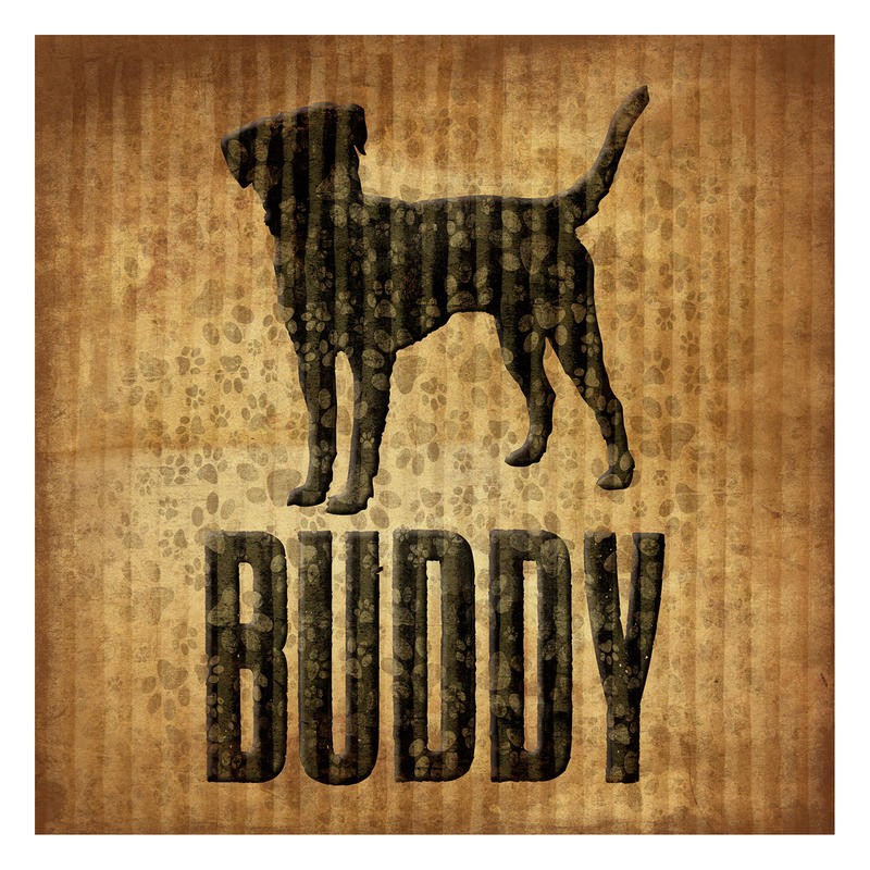 Jace Grey, BUDDY I (TIERE)