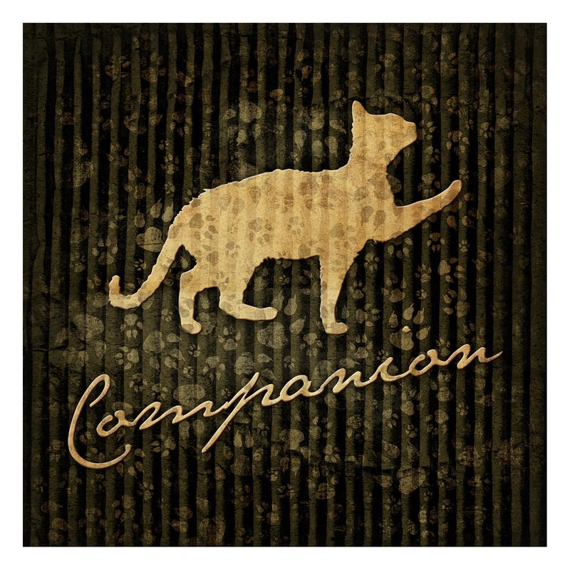 Jace Grey, COMPANION II (TIERE)