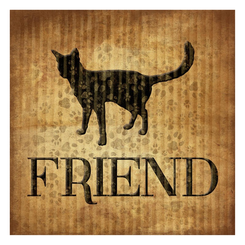 Jace Grey, FRIEND I (TIERE)