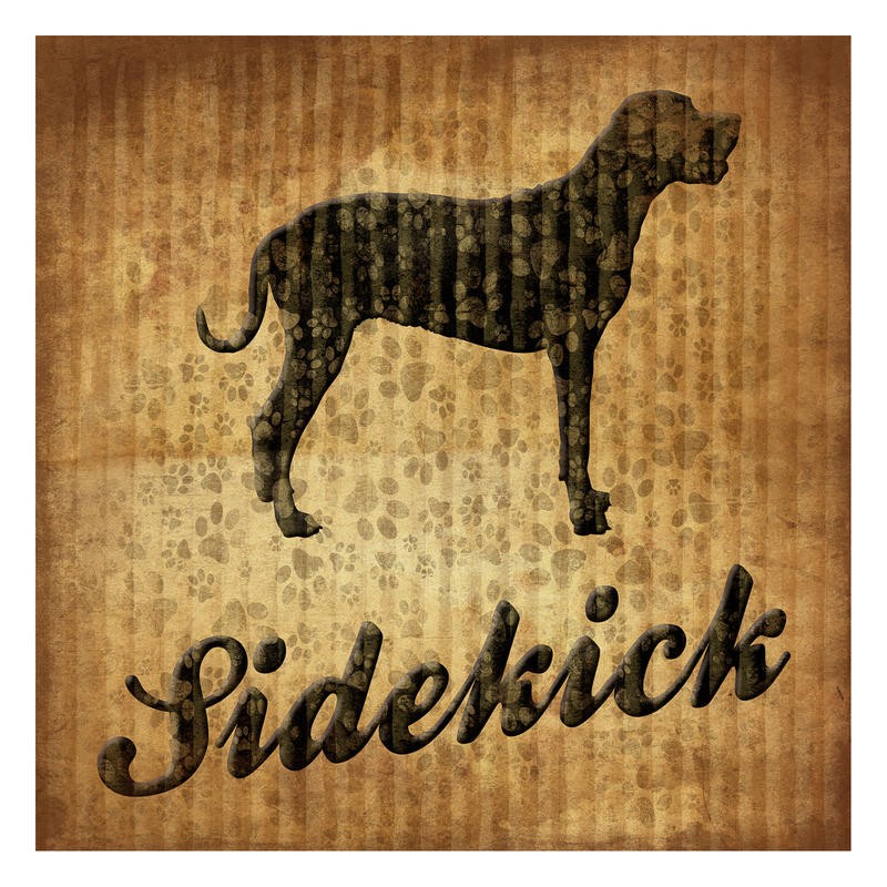 Jace Grey, SIDEKICK I (TIERE)