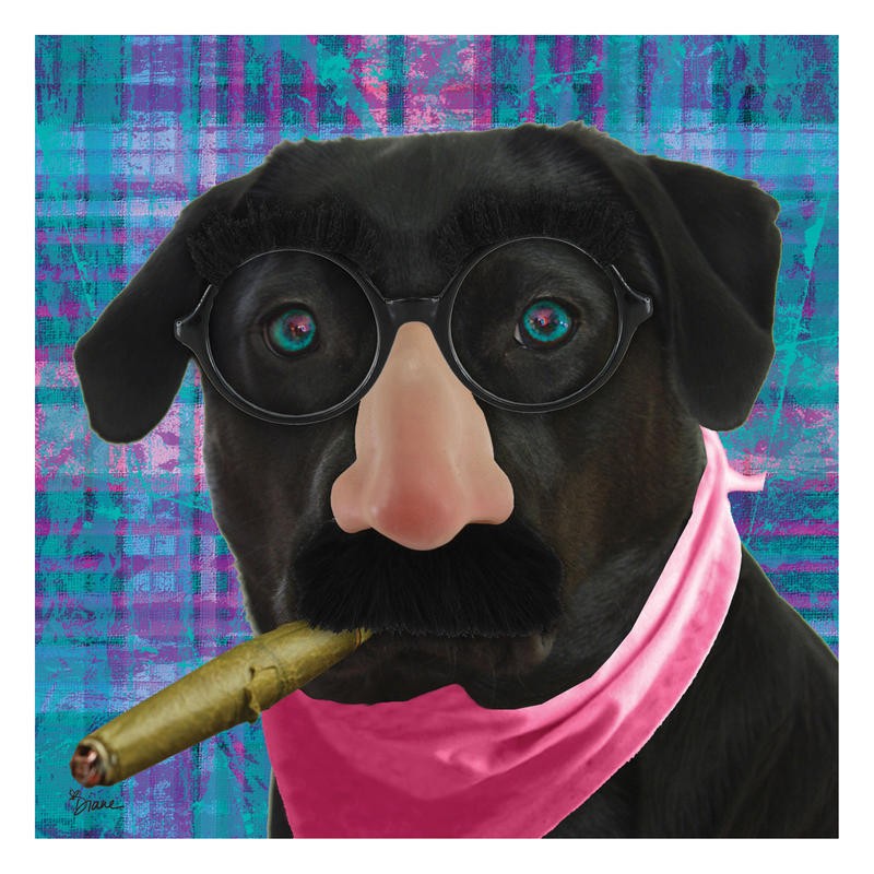 Diane Stimson, HUMOR DOG (TIERE)