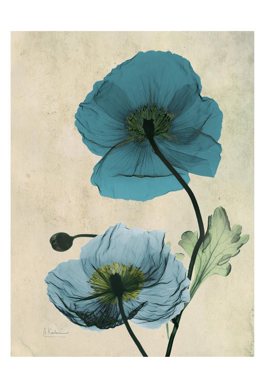 Albert Koetsier, BLUE DARK BRIGHT II (X-RAY)