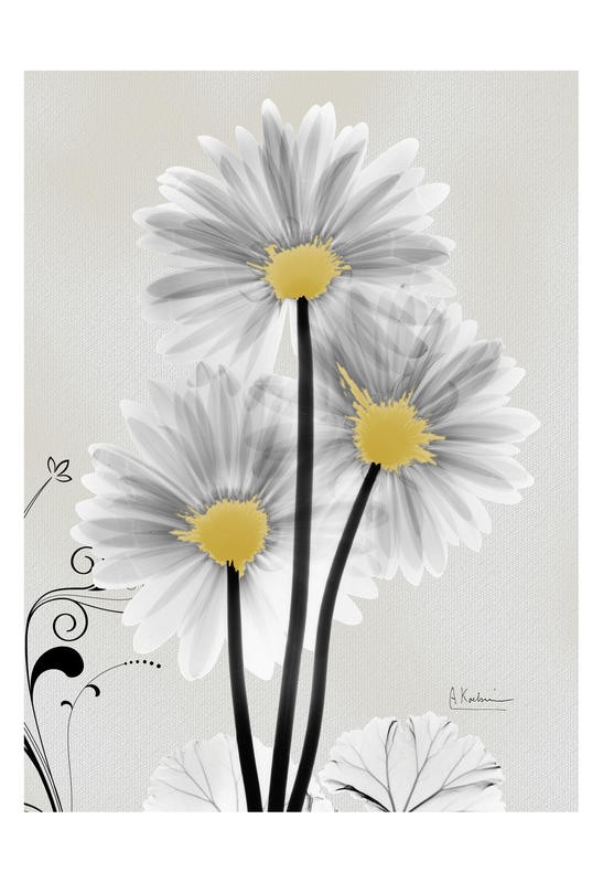Albert Koetsier, DUO IN WHITE II (X-RAY)