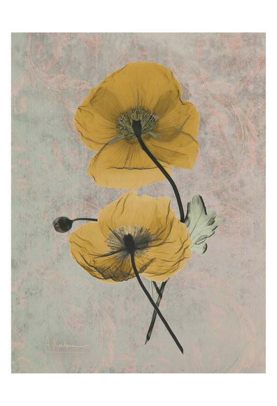 Albert Koetsier, YELLOW DARK BRIGHT II (X-RAY)