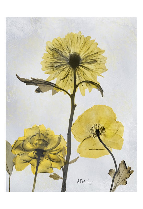 Albert Koetsier, DUO WITH YELLOW II (X-RAY)