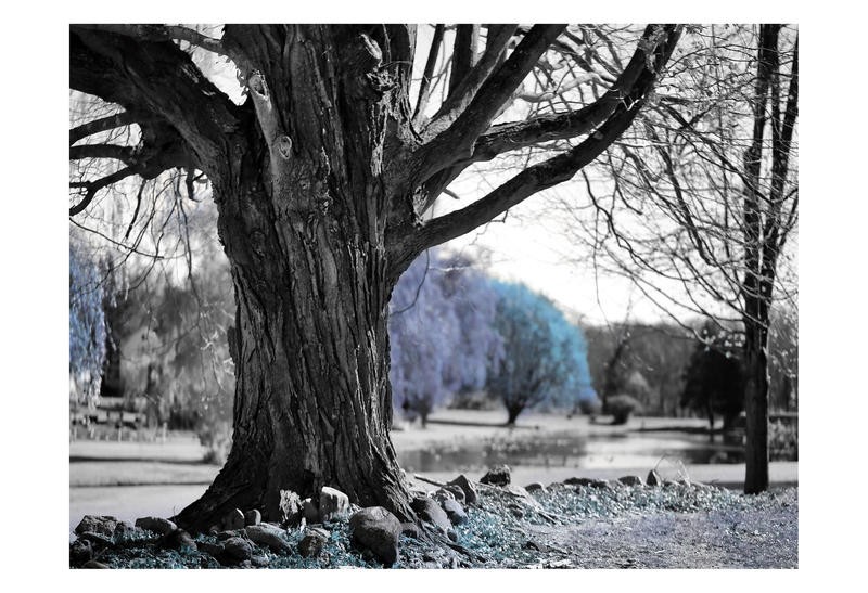 Sandro De Carvalho, BLUE TREE (Park, Bäume, alter Baum, knorrig, Rinde, Colorspot, Fotokunst, Wunschgröße, Wohnzimmer, Büro, Treppenhaus, schwarz/weiß, blau)