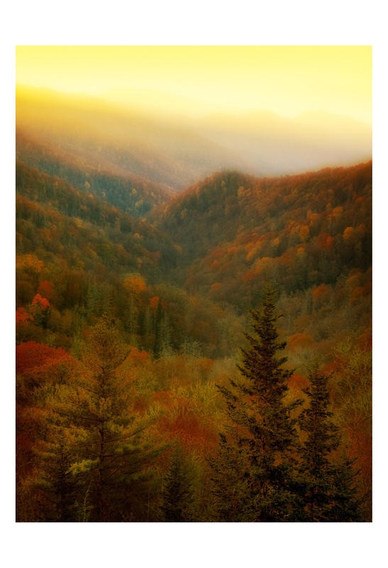 Danny Head, NIGHT FALLS ON AUTUMN (Landschaft, Herbst, Jahreszeit, Wald, Sonnenuntergang, Stimmung, Wohnzimmer, Treppenhaus, Fotokunst, Wunschgröße, Herbstfarben, bunt)