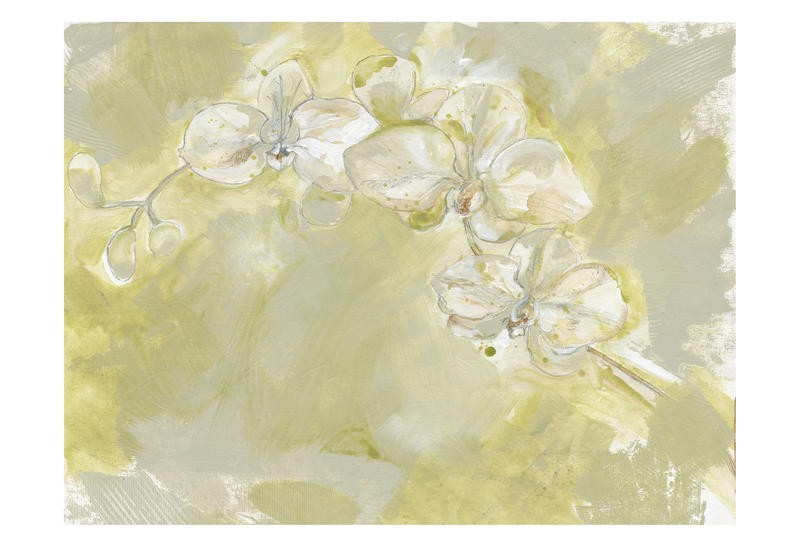 Smith Haynes, SOFT ORCHID II (BLUMEN)
