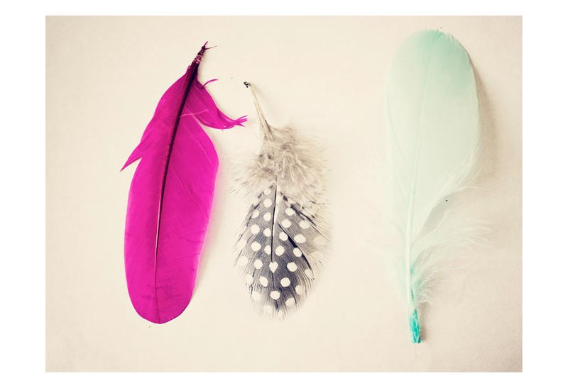 Ashley Davis, MAGENTA FEATHERS (Federn, Vogelfedern, Wohnzimmer, Treppenhaus, modern,  Fotokunst, Wunschgröße, bunt)