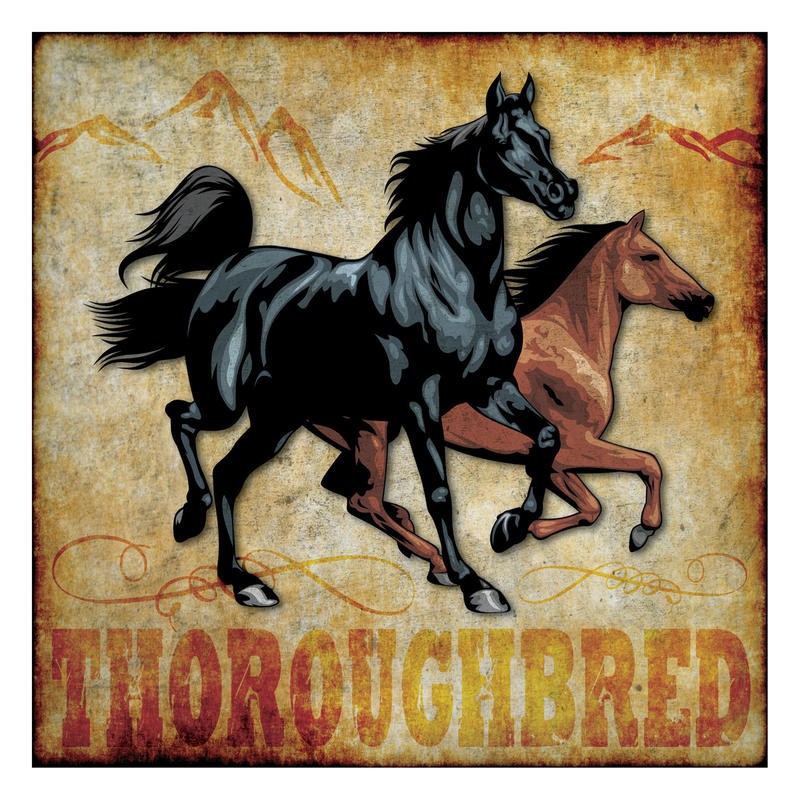 Melody Hogan, WILD AND FREE III (TIERE)