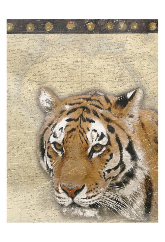 Jace Grey, MAP WITH TIGER II (TIERE)