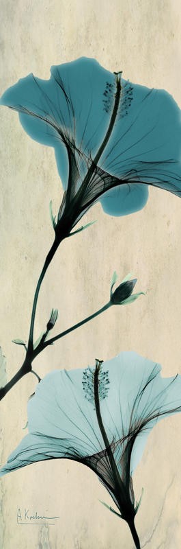 Albert Koetsier, BLUE DARK BRIGHT PANEL I (X-RAY)