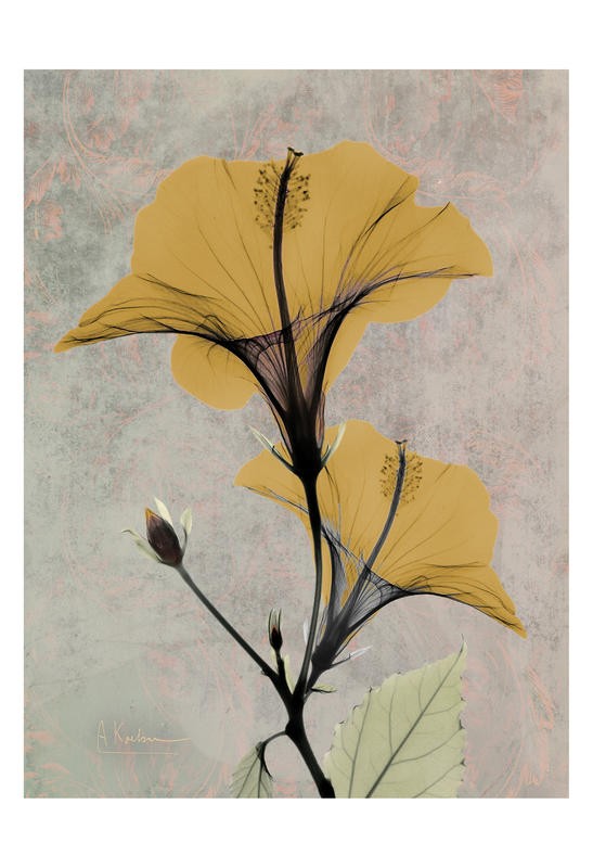 Albert Koetsier, YELLOW DARK BRIGHT I (X-RAY)