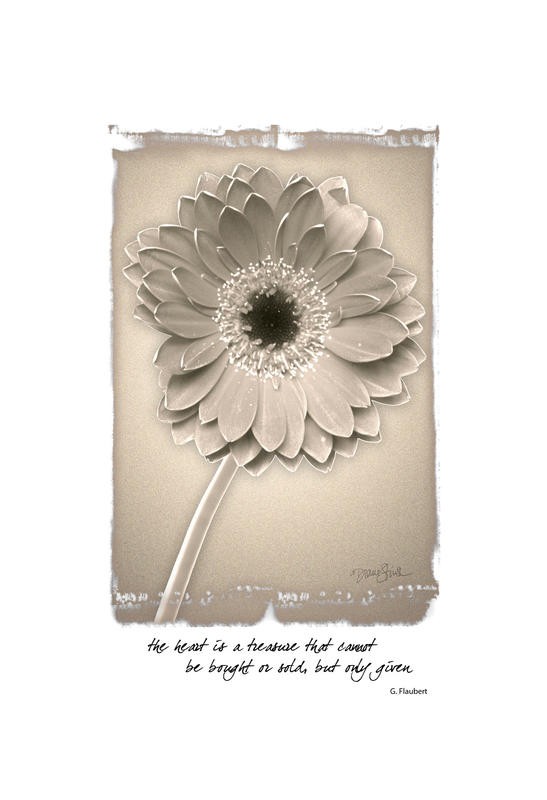 Diane Stimson, BEIGE IN BEIGE GERBERA (BLUMEN)