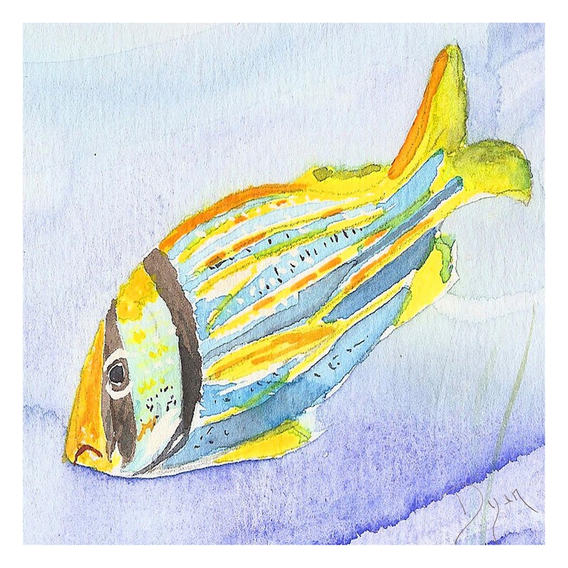 Beverly Dyer, TROPICAL FISHY II (Fisch, Korallenfisch, Badezimmer, Aquarell, Wohnzimmer, Treppenhaus, Malerei, Wunschgröße, gelb/blau)
