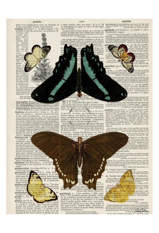 Tina Carlson, BUTTERFLY PLANTS II (Zeitung, Buchseite, Lexikon, Schmetterlinge, Insekten, Studie, Grafik, Wunschgröße, Wohnzimmer, Treppenhaus, schwarz/weiß/bunt)