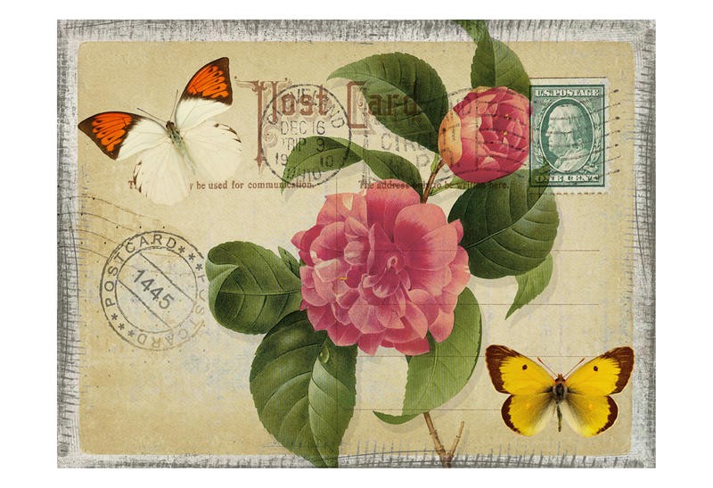 Taylor Greene, POSTCARD I (Postkartenmotiv, Blume, Blüte, Rose, Schmetterlinge, romantisch, Vintage, Nostalgie, Grafik, Wunschgröße, Treppenhaus, Wohnzimmer)