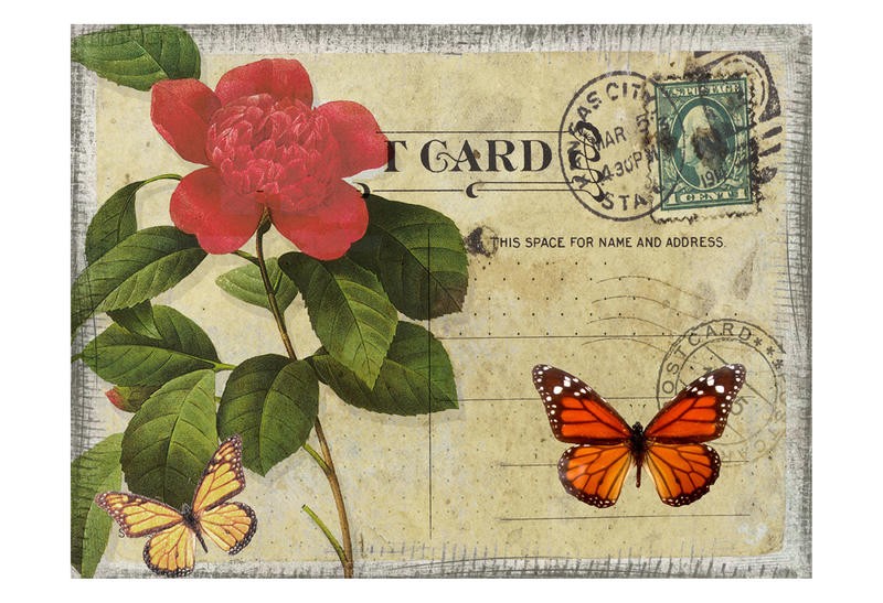 Taylor Greene, POSTCARD II (Postkartenmotiv, Blume, Blüte, Rose, Schmetterlinge, romantisch, Vintage, Nostalgie, Grafik, Wunschgröße, Treppenhaus, Wohnzimmer)