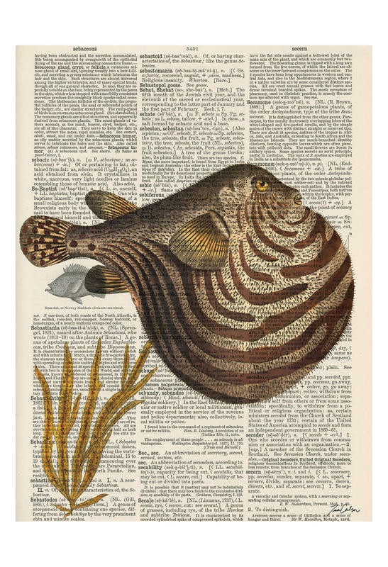 Tina Carlson, SERIES NEWSPAPER I (Zeitung, Buchseite, Lexikon, Fisch, Kugelfisch, Studie, Tierportrait, Grafik, Wunschgröße, Wohnzimmer, Treppenhaus, schwarz/weiß/bunt)