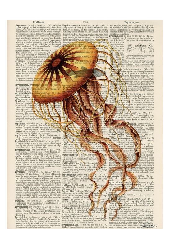 Tina Carlson, SERIES NEWSPAPER IV (Zeitung, Buchseite, Lexikon, Meerestier, Qualle, Studie, Grafik, Wunschgröße, Wohnzimmer, Treppenhaus, schwarz/weiß/bunt)