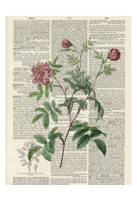 Tina Carlson, ROYAL FLOWER I (Zeitung, Buchseite, Lexikon, Rose, Blume, Blüten, Botanik, Studie, Grafik, Wunschgröße, Wohnzimmer, Treppenhaus, schwarz/weiß/bunt)