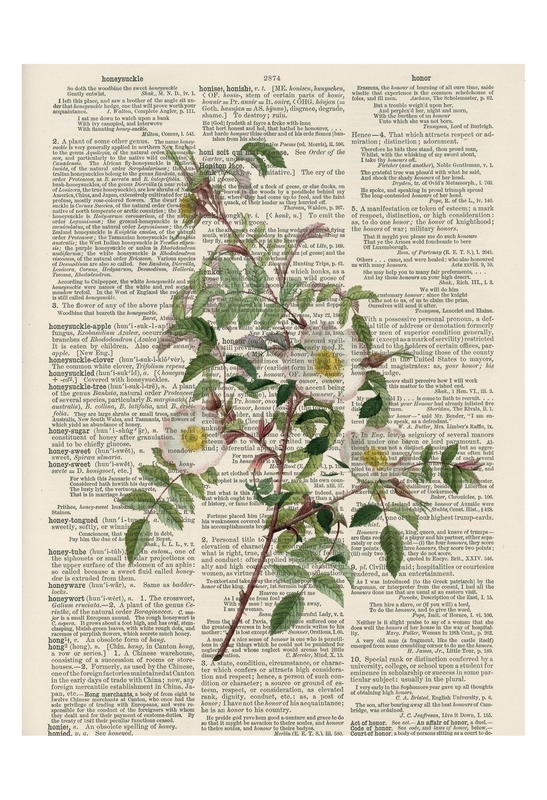Tina Carlson, ROYAL FLOWER II (Zeitung, Buchseite, Lexikon, Rose, Blume, Blüten, Botanik, Studie, Grafik, Wunschgröße, Wohnzimmer, Treppenhaus, schwarz/weiß/bunt)