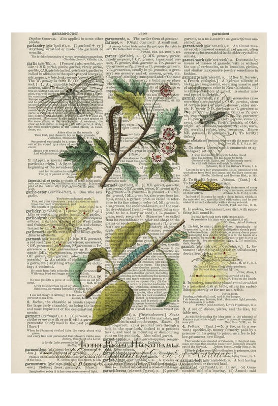 Tina Carlson, ROYAL FLOWER IV (Zeitung, Buchseite, Lexikon, Weißdorn, Blüten, Schmetterlinge, Raupen, Botanik, Studie, Grafik, Wunschgröße, Wohnzimmer, Treppenhaus, schwarz/weiß/bunt)