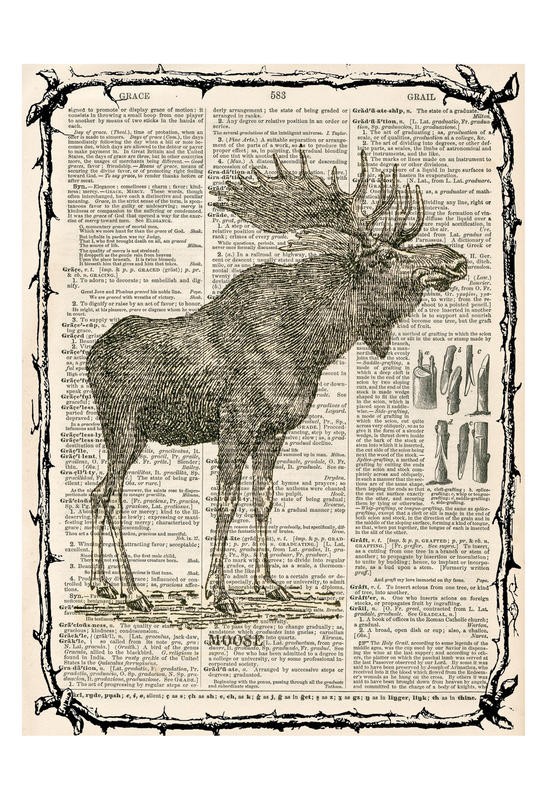 Tina Carlson, ELK III (Zeitung, Buchseite, Lexikon, Elsch, Geweih, Schaufeln, Tierportrait, Studie, Grafik, Wunschgröße, Wohnzimmer, Treppenhaus, schwarz/weiß/sepia)