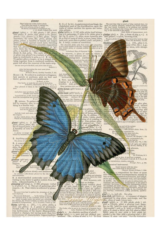 Tina Carlson, BUTTERFLY PLANTS IV (Zeitung, Buchseite, Lexikon, Schmetterlinge, Insekten, Studie, Grafik, Wunschgröße, Wohnzimmer, Treppenhaus, schwarz/weiß/bunt)