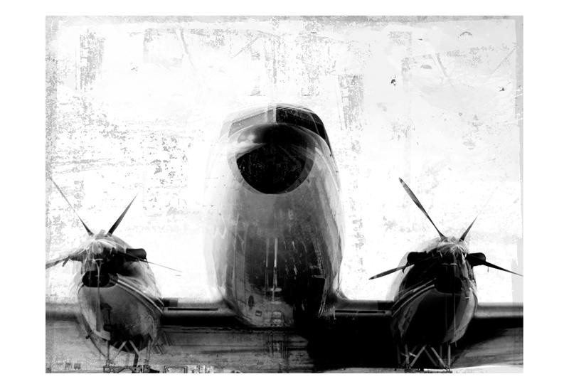 Cynthia Alvarez, FLIGHT 89 (Propellerflugzeug, Technik, Nostalgie, Vintage, Retro, Plakatkunst, Grafik, Treppenhaus, Wohnzimmer, Wunschgröße,schwarz/weiß)