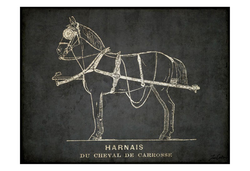 Tina Carlson, HORSE SKETCH II (Pferd, Pferdegeschirr, Tier, Nutztier, Zugtier, Grafik, Retro, Wunschgröße, Wohnzimmer, Treppenhaus, schwarz/weiß/sepia)