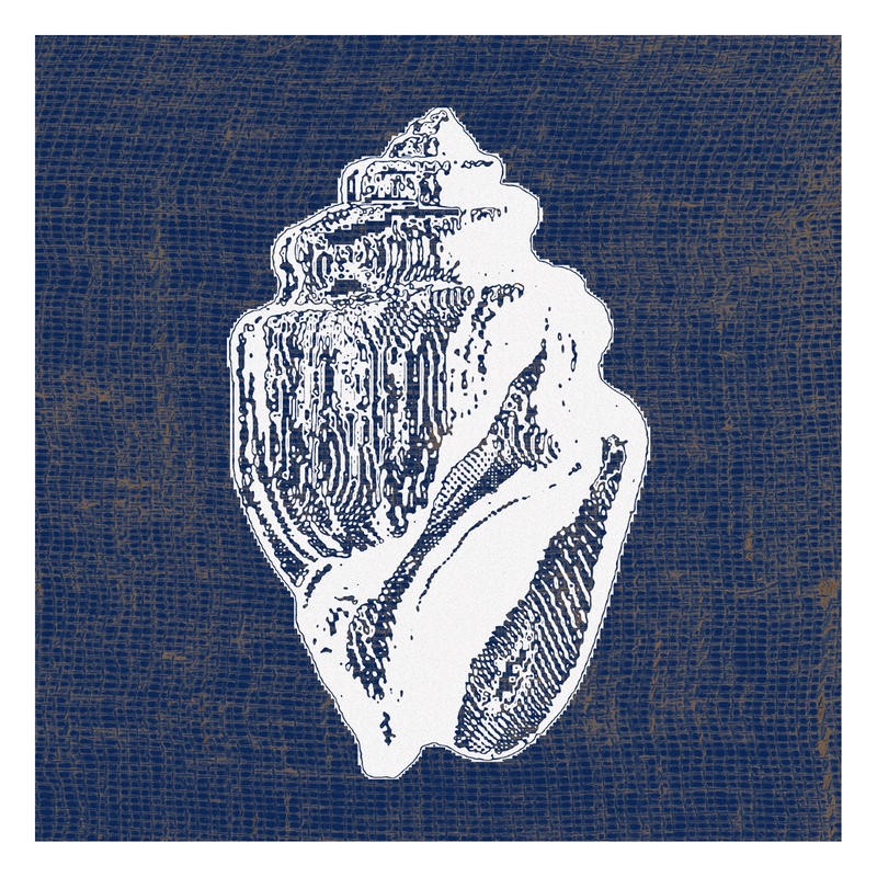 Sheldon Lewis, INDIGO BLUE II (Muschel, Schneckenhaus, Meeresschnecke, Jeans, Struktur,  maritim, Meerestiere, Grafik, Badezimmmer, Treppenhaus, Wunschgröße, grau/blau)