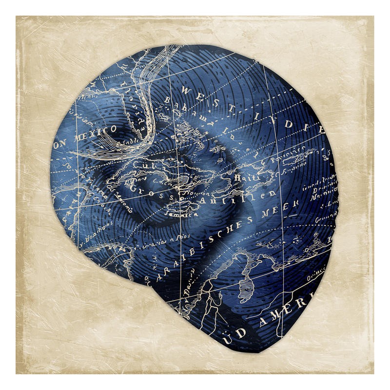 Jace Grey, MAP INDIGO SHELL I (MARITIM)