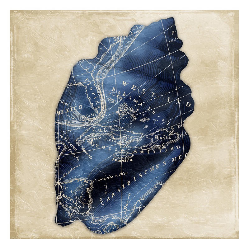 Jace Grey, MAP INDIGO SHELL II (MARITIM)