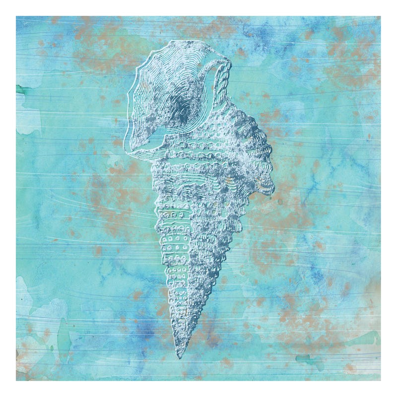 Tony Pazan, MINT MUSSEL II (Muschel, maritim, shabby chic, modern, Grafik, Wunschgröße, Badezimmer, Treppenhaus, blau)