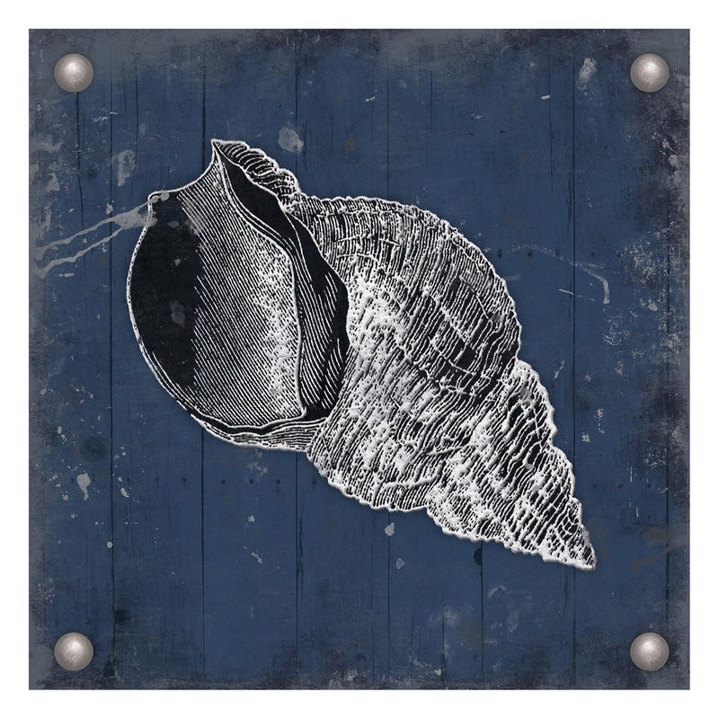 Jace Grey, SILVER SHELLS I (MARITIM)