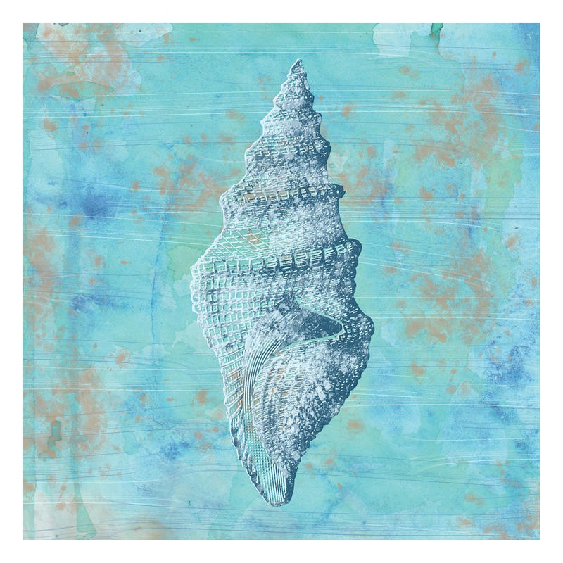 Tony Pazan, MINT MUSSEL III (Muschel, maritim, shabby chic, modern, Grafik, Wunschgröße, Badezimmer, Treppenhaus, blau)