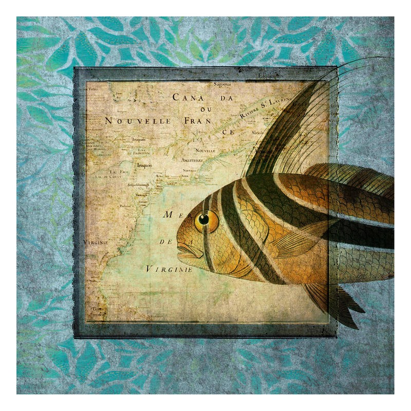 Tina Carlson, ROOSTER FISH MAP II (Geografische Karte, Landkarte, Fisch, Hahnenbarsch, Nematistius pectoralis, Tiere, Grafik, Wunschgröße, Wohnzimmer, Treppenhaus, bunt)
