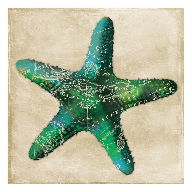 Jace Grey, MAP GREEN STARFISH (MARITIM)