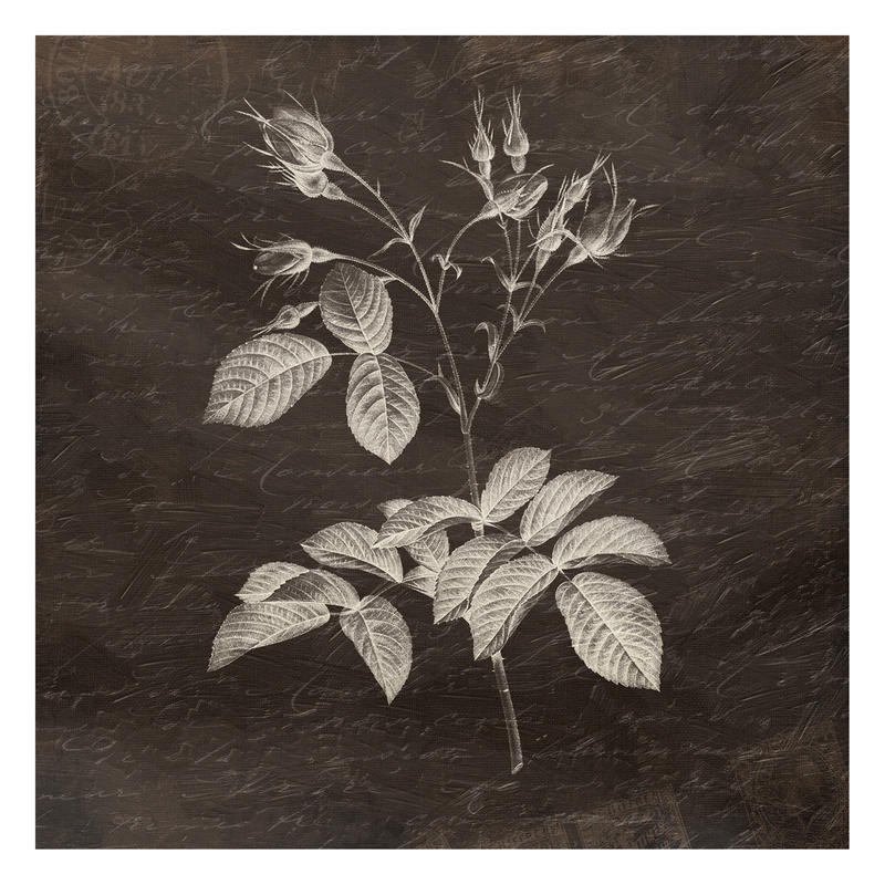 Jace Grey, LOVELY II (BOTANIK)
