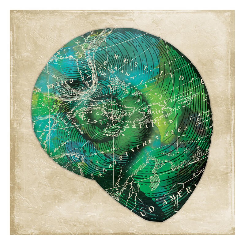 Jace Grey, MAP GREEN SHELL I (MARITIM)