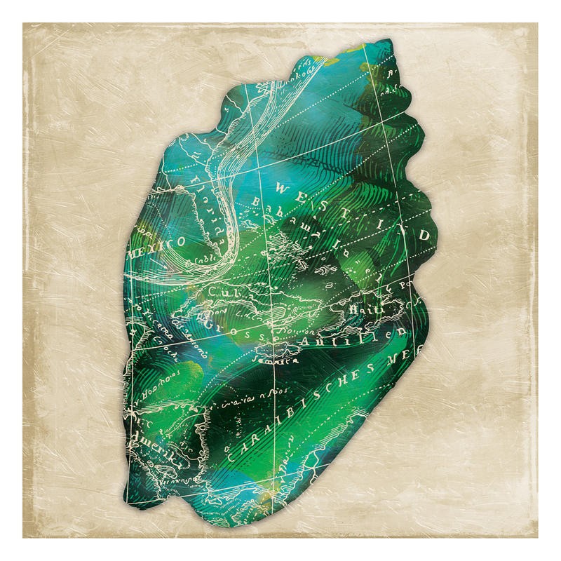 Jace Grey, MAP GREEN SHELL II (MARITIM)