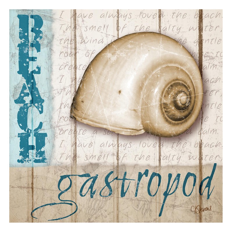 Carole Stevens, GASTROPOD (MARITIM)