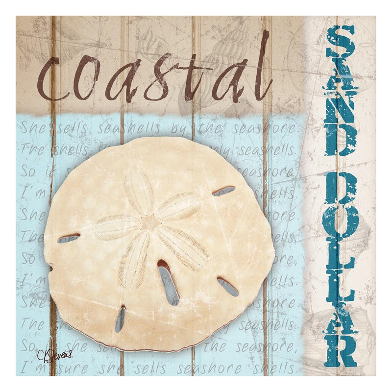 Carole Stevens, SAND DOLLAR (MARITIM)