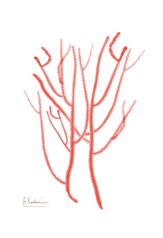 Albert Koetsier, SEA GRASS RED II (X-RAY)