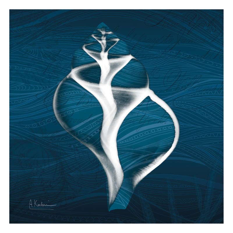 Albert Koetsier, INDIGO II (X-RAY)