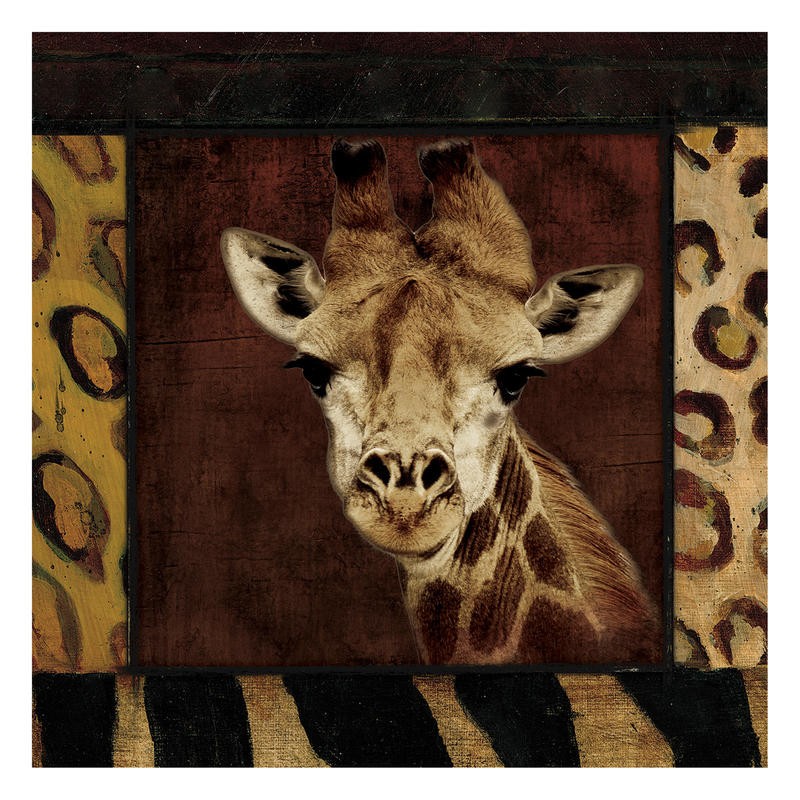 Jace Grey, BORDERED GIRAFFE (TIERE)