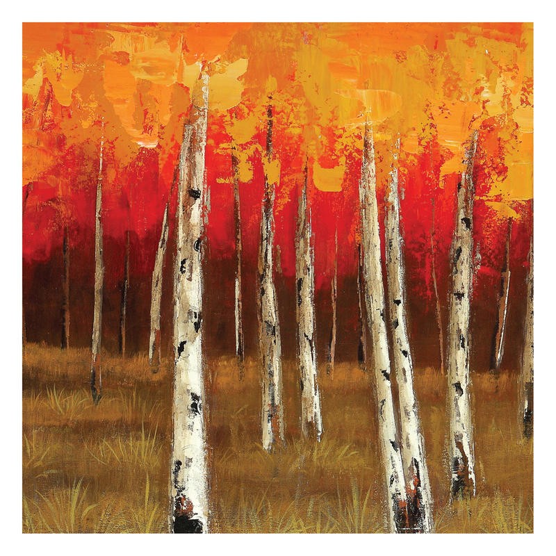 Sunny, GOLDEN BIRCH II (LANDSCHAFT)