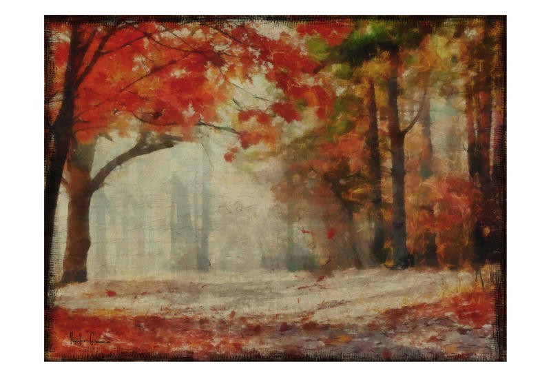 Taylor Greene, HARVEST LANDSCAPE II (Park, Landschaft, Natur, Bäume, Herbst, Laub, Jahreszeit, Wunschgröße, Fotokunst, Treppenhaus)